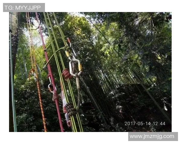 杭州攀岩队协作能力分析与表现评估探讨 杭州攀岩队协作能力分析与表现评估探讨