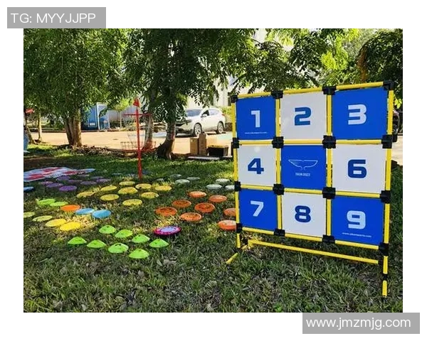 武汉飞盘队的成功之道：探索团队运营与发展背后的秘密